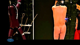 Mistress Luciana Hung up Extreme Single Tail Whipping Part1