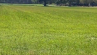 Hucow Dogging Bukkake Therapy