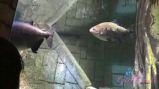 Visit the aquarium with Jessica Rex before heading home for a bath and some masturbation: Porn