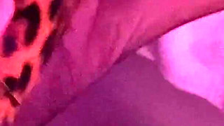 30 Leopard High Heels and Vintage Classic Nylons