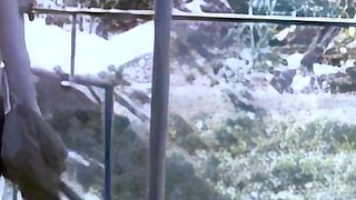Tina: the Young Spanish Amateur Tina, Naked Outdoors