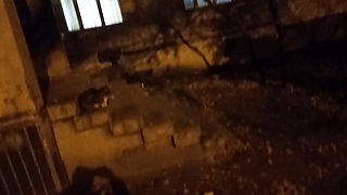 Collegegirl sucked on the street near the house and got cum in her mouth