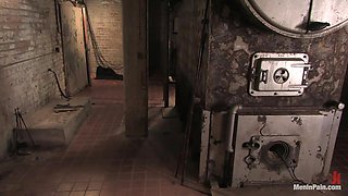 Training the Basement Slave