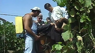 The granny boss become the fuck from here boys