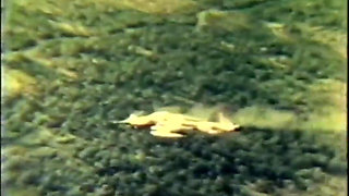 Floppers - (restyling Movie in Full HD Version)