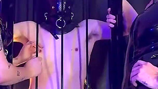 Teasing Our Caged Slave