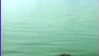 Dvd Babes On The Boat Enjoy In Anal And Dp Bang Orgy