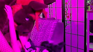Amateur couple hardcore anal sex