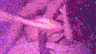 Real Indian Homemade Sex Couple Fucking, Telugu Aunty Pussy Fucked