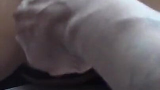 Anal Object Insertion