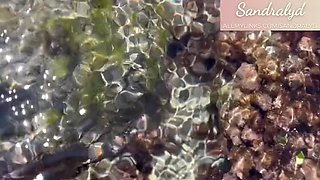 Spanish Teen Sandralydx Teases Her Wet Pussy on Beach Outdoor POV