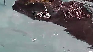 Snorkel & Scuba Seduction - Wet & Wild First Date Fun