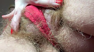 Hairy Pussy in Red Panties