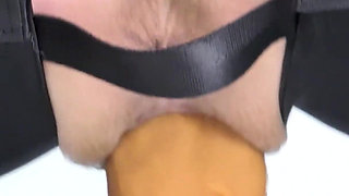 A Compilation of the Adventures of the Blue in Me, as Well as Prolapses, Squirts and One Chair.