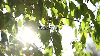 Bratty Younger Step Sister Gets Fucked by Her Despised Step Brother's Huge Cock. 2