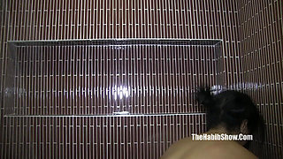 Full Vid. Sexy Loni Legend and Her #1 Fan Derek Forreal