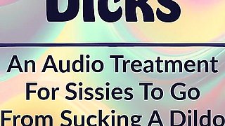 Audio Only - From Dildos to Dicks Sissy Encouragement