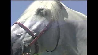 Hot lesbian brunette hardly fucked with a strapon