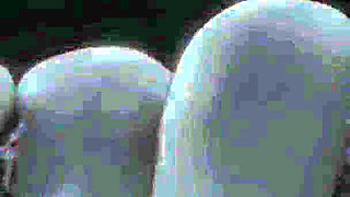 Marcille Donato and Falin Touden Fucks Laios Touden in a Threesome Dungeon Meshi Hentai 3D Animation