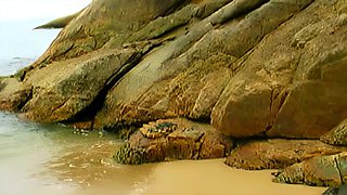 Booty Island Vol 3