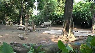 Perfect Vacation - POV P4PI 34