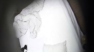 Amateur couple hidden cam