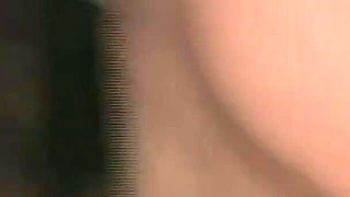 Anal Dream Vol.2