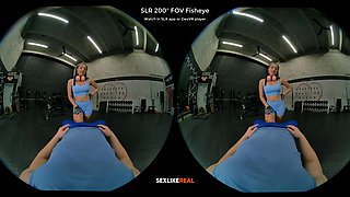 The Final Stretch - SLROriginals