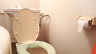 Various Toilet Scenes, Including Public Toilets