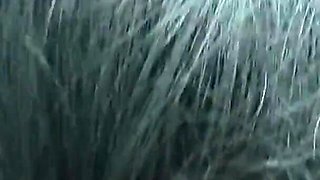 Bengali Wife Fucking with Others Men! Cuckold Wife
