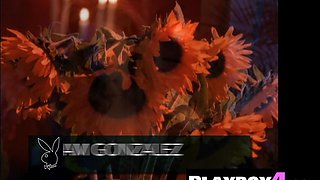 Big titties Latin posing in slinky lingerie