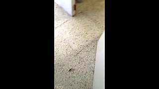 Hot Mexican Teen Samantha 18Yo Fucks for Cash in Public - Big Tits & Blowjob Action!