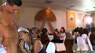 Watch these wild strippers & their CFNM party partners dance & suck at Banquet Bride' wedding