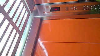 Public Elevator Girl Gives Handjob