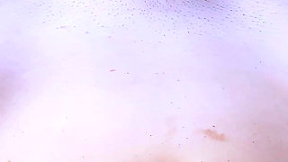 Hollis Ireland - No Panties Allowed Ii