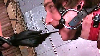 Latex Mistress Bondage Pegging