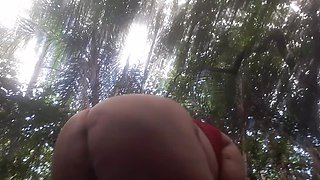 Walk in the Woods