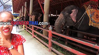Elephants feeding with Thai girlfriend