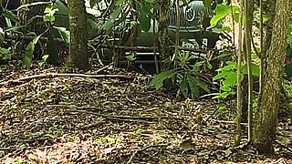 She's Caught Pussy Rubbing in the Woods Squirting on Her Car Hood