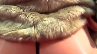 Do You Want to Play with This Fur-coat?