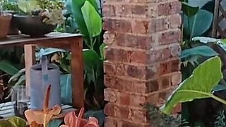 Fucking My Neighbours Wife Outdoor on the Patio
