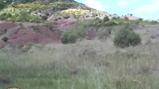 There Is Much Fucking Going on. in the Open Air!