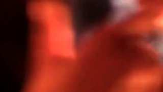 WTFPass Ãâ¬ÃÆÃÂÃÂÃÂºÃÂ¾Ã