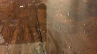 Exciting cutie xxx smutty story