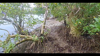 Stranger Fisherman, Fucked Me at the Beach, Cum Inside My Pussy Please