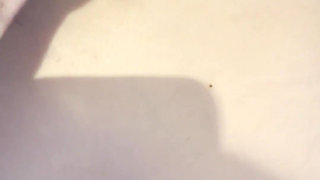 I Cheated on My Husband with a Colleague in the Toilet