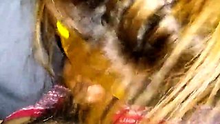 Korean Amateur Couple's Private Video