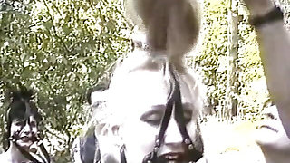 Outdoor punishing lesson in the forest