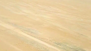 Beach Pee Desperation