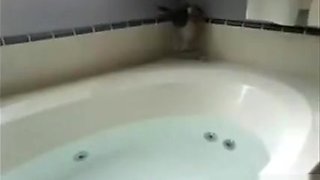 Beautiful Blonde Girl In The Bath Tub